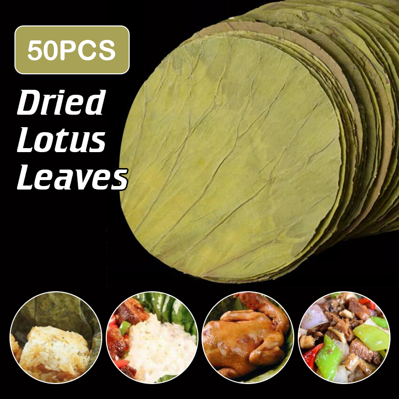 50Pcs 22cm Big Natural Dried L - Home Cooking Recipes review and price